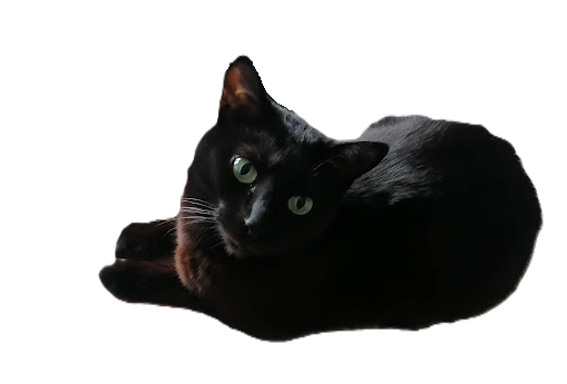 a transparent image of a black, green-eyed cat laying down.